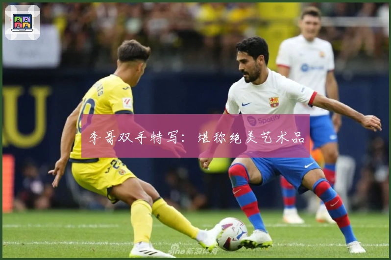 李哥双手特写：堪称绝美艺术品