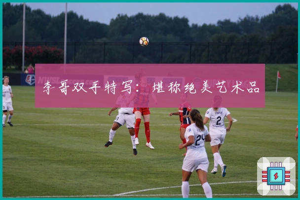 李哥双手特写：堪称绝美艺术品